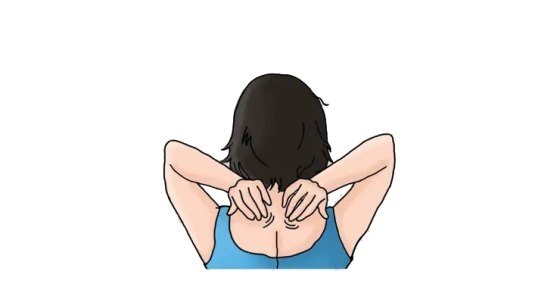 颈部自我按摩图.jpeg 颈部自我按摩图.jpeg